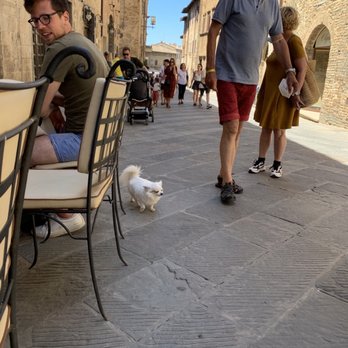 Olivieri - That's a witty bitty - Mediterranean Near Me - San Gimignano, SI