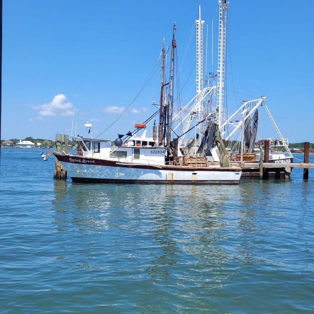 Safe Harbor Seafood - Seafood Near Me - Jacksonville, Florida Safe Harbor Seafood - Seafood Near Me - Jacksonville, Florida
