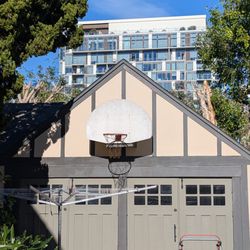 Kings Tree Services - The trees behind the garage were butchered