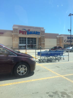 PetSmart by null