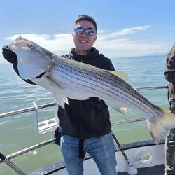 Amethyst Fishing Charters