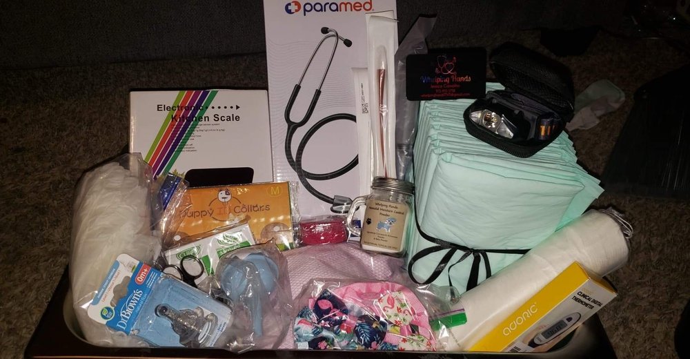 WHELPING HANDS Updated June 2024 11 Photos 1117 N Solano Dr, Las