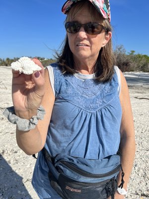 Rising Tide Explorers by null