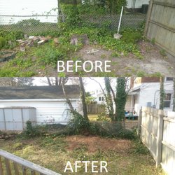 Sweat Brothers Tree Surgery - Previous company left a huge mess, stumps, and debris. Sweat Bros cleared it up in no time.