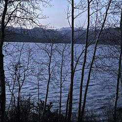 Lakeside Lodge - Sunrise off back deck
