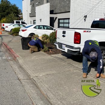 AP Neta Landscaping - Maintenancing Commercial Property - Landscaping Near Me