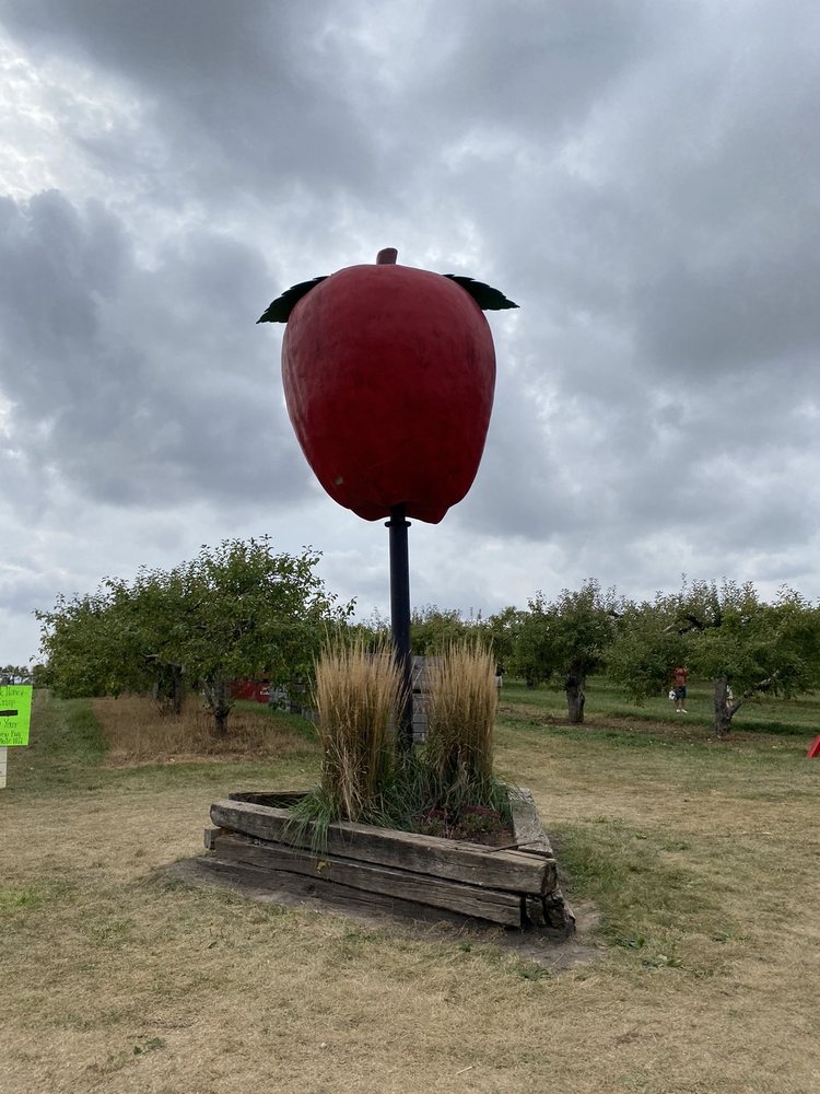 APPLE BARN ORCHARD & WINERY Updated September 2024 46 Photos & 70