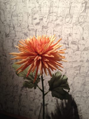 Mellqvist Cafe & Bar by null