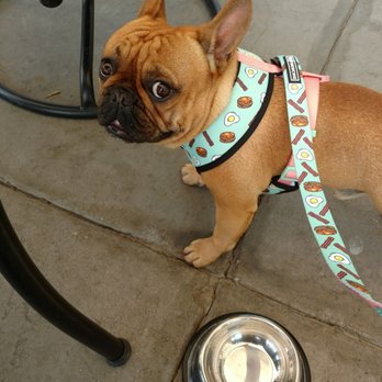 Prison Hill Brewing - Waiting for my chicken! - New American Near Me - Yuma, Arizona