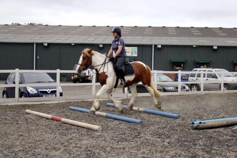 BUSBY EQUITATION CENTRE Updated August 2024 54 Photos Glasgow