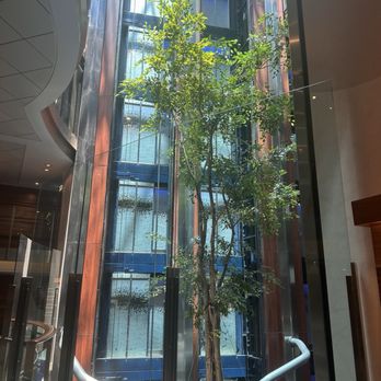 Celebrity Reflection - Boat Tours Near Me - Fort Lauderdale, Florida