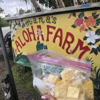 Manas Aloha Farm - Freshly cut! Freshly delicious - Food Stands Near Me - Pepeekeo, Hawaii Manas Aloha Farm - Freshly cut! Freshly delicious - Food Stands Near Me - Pepeekeo, Hawaii