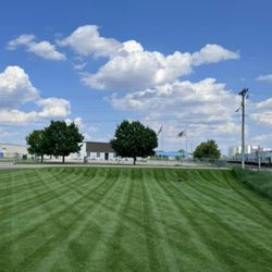 Spell’s Lawn Care Landscaping Handyman Needs