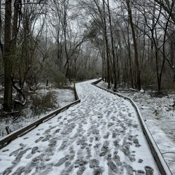 Martin Farm Park
