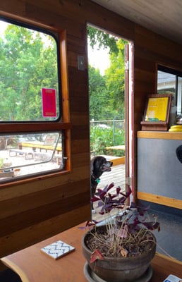 Flitch Coffee by null Flitch Coffee by null