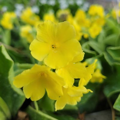 University of Alaska Anchorage by null