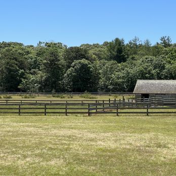 Island Alpaca - Knitting Supplies Near Me - Oak Bluffs, Massachusetts