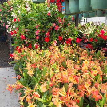 Lowe's - Hardware Stores Near Me - Saint Johns, Florida
