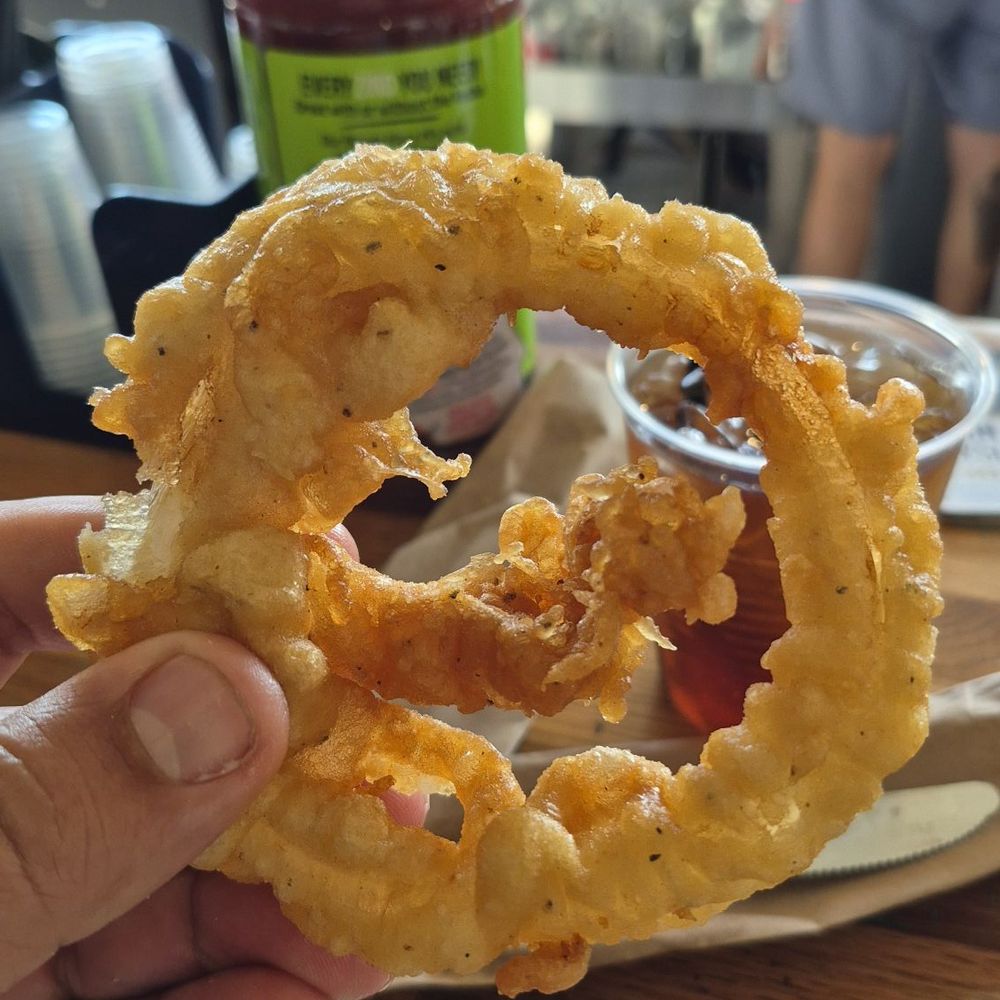 Best onion rings Best onion rings