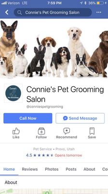 connie's mobile grooming