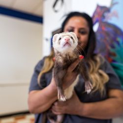 Atlanta Pet Care Center