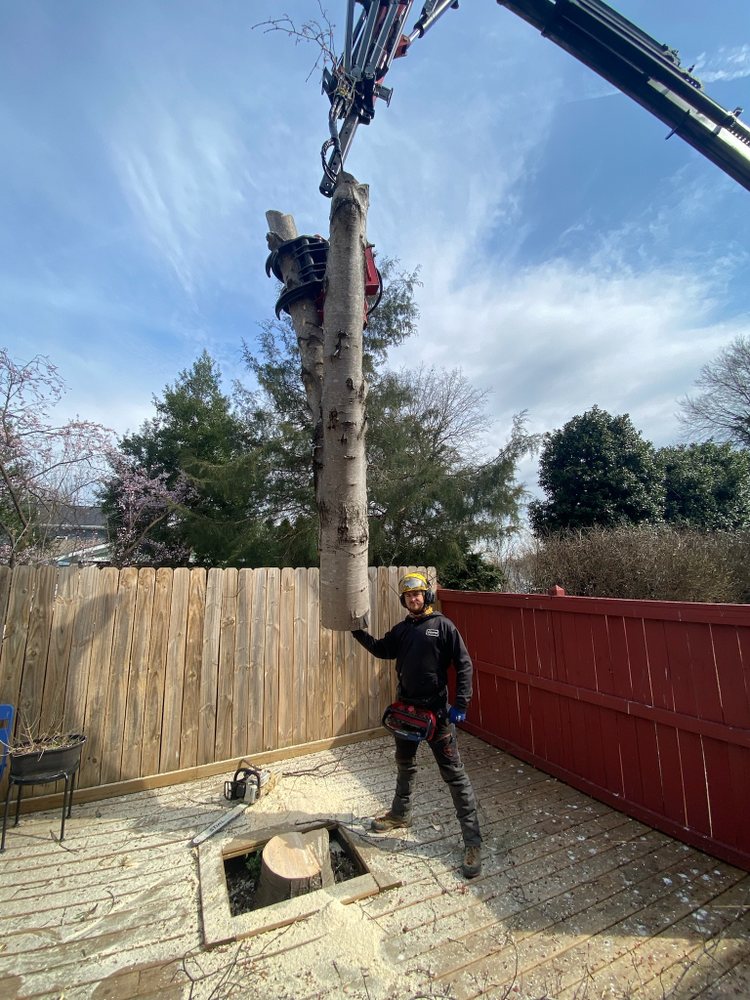 CHOP NASHVILLE Updated September 2024 17 Photos & 12 Reviews 829 Gale Ln, Nashville