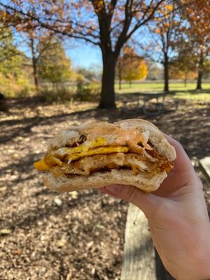 Cracked the Egg Came First by null