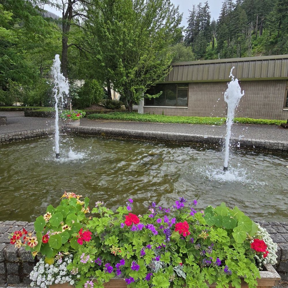 Bonneville Dam Fish Hatchery - Aquariums Near Me - Cascade Locks, Oregon Bonneville Dam Fish Hatchery - Aquariums Near Me - Cascade Locks, Oregon