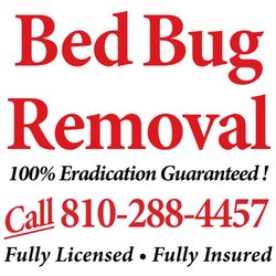 Bed Bug Removal