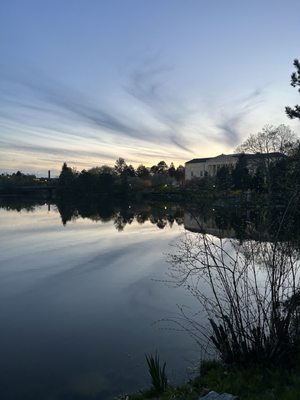 Japanese Garden by null