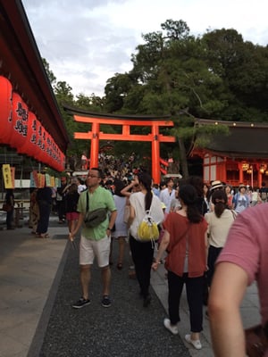 Senbon Torii (Thousand Torii Gates) by null