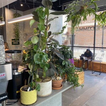 Cafe Comma - Coffee & Tea Near Me - Atlanta, Georgia