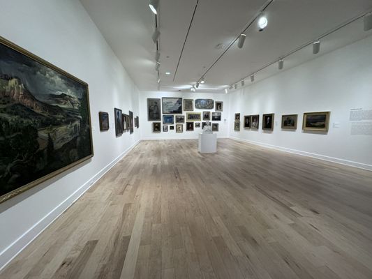 El Paso Museum of Art by null