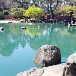 Japanese Gardens