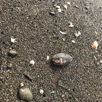 Sharp Park Beach - Beaches Near Me - Pacifica, California