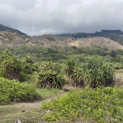 Waihee Coastal Dunes and Wetlands Preserve - Very large sand dunes are part of the reserve