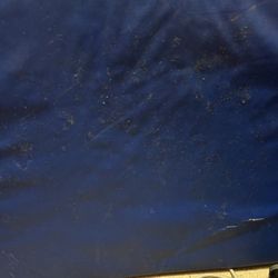 Windsor Care Center of Sacramento - Her mat has poop and pee and god knows what else never cleaned. She would LAY on this!