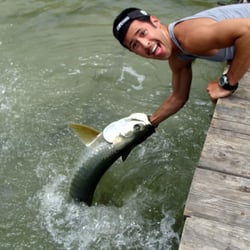 Tons of Fun Tours & Rentals - Great stop in the jeep on the way to Key West, Robbie's Isla Morada, feeding the Tarpon.