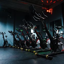 Gym Plus Swords