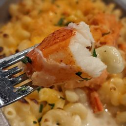 Lobster Mac
