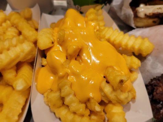 Shake Shack Chestnut Hill by null