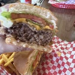 The Dam Diner - Dam Burger and fries