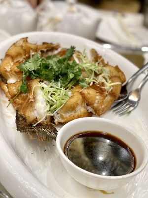 Skyview Fusion Cuisine by null