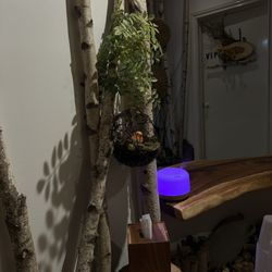 Yihan Spa - Beautiful space