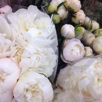 Trader Joe's - Peonies - Grocery Near Me - Seattle, Washington Trader Joe's - Peonies - Grocery Near Me - Seattle, Washington