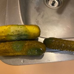 Pickles