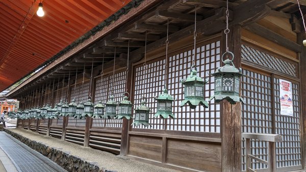 Kasugataisha Shrine by null