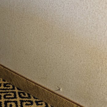 Quality Inn And Conference Center - Peeling wallpaper - Hotels Near Me - Springfield, Ohio Quality Inn And Conference Center - Peeling wallpaper - Hotels Near Me - Springfield, Ohio