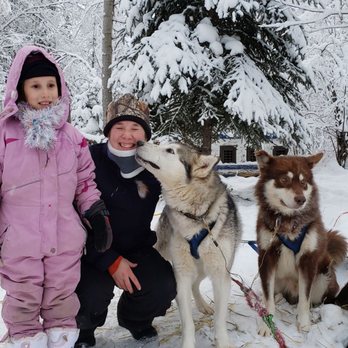 Firewalker Alaskan Malamute Kennel - Kisses for the road! - Tours Near Me - North Pole, Alaska Firewalker Alaskan Malamute Kennel - Kisses for the road! - Tours Near Me - North Pole, Alaska