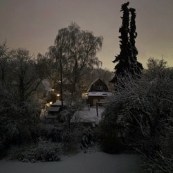 Stadtteil Hummelsbüttel - This morning from my balcony